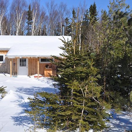 The Sleeping Moose Cottage Birch Plain Kültér fotó