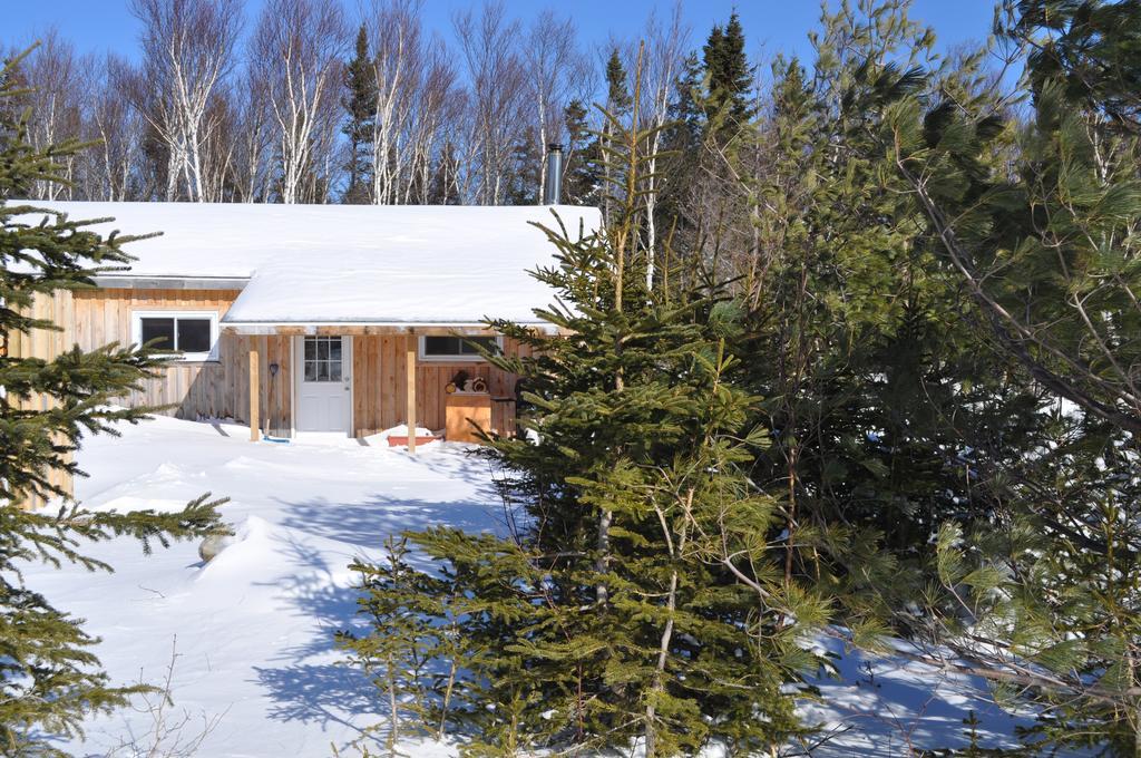 The Sleeping Moose Cottage Birch Plain Kültér fotó