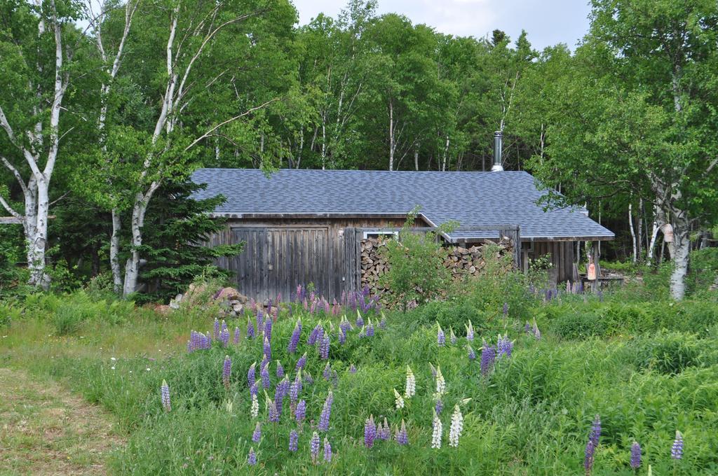 The Sleeping Moose Cottage Birch Plain Kültér fotó