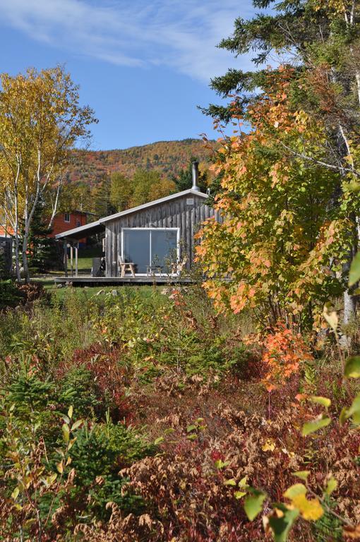 The Sleeping Moose Cottage Birch Plain Kültér fotó